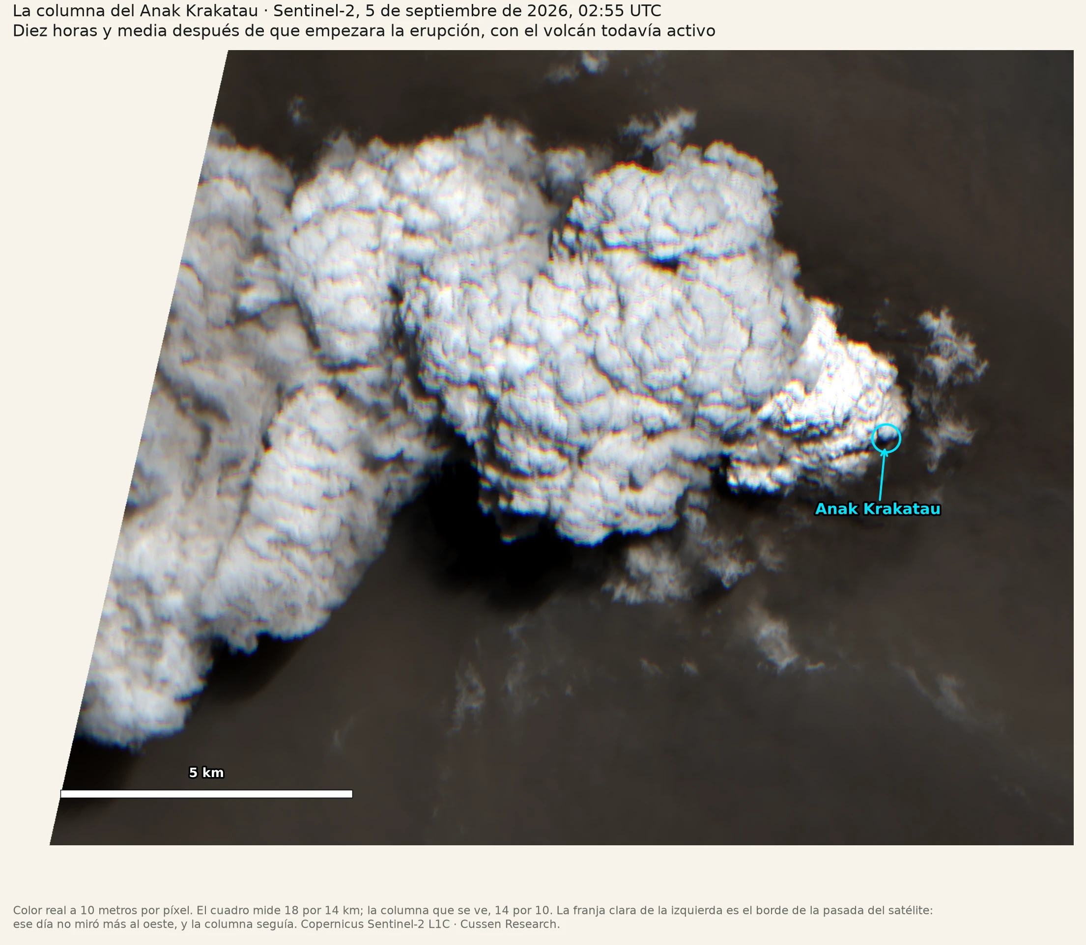 Primer plano satelital de una enorme columna eruptiva blanca de forma
       abultada, que llena el cuadro y nace del volcán, marcado con un círculo celeste
       a la derecha.
