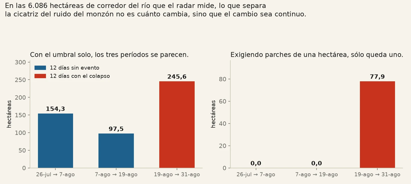 Dos gráficos de barras. En el primero, con el umbral solo, los tres períodos tienen
       barras comparables. En el segundo, exigiendo parches de una hectárea, los dos períodos de
       control quedan en cero y sólo el del colapso conserva su barra.