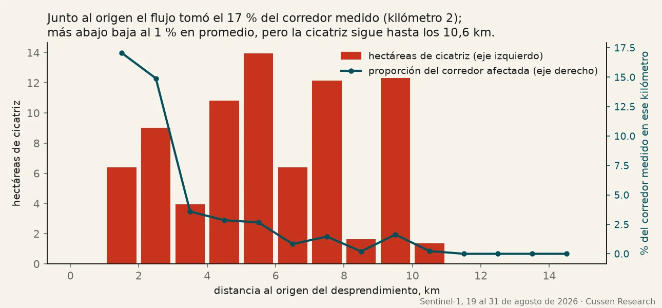 Gráfico de barras de hectáreas de cicatriz por kilómetro desde el origen, con una
       línea que muestra la proporción del corredor afectada, alta en los primeros kilómetros y
       decreciente aguas abajo.