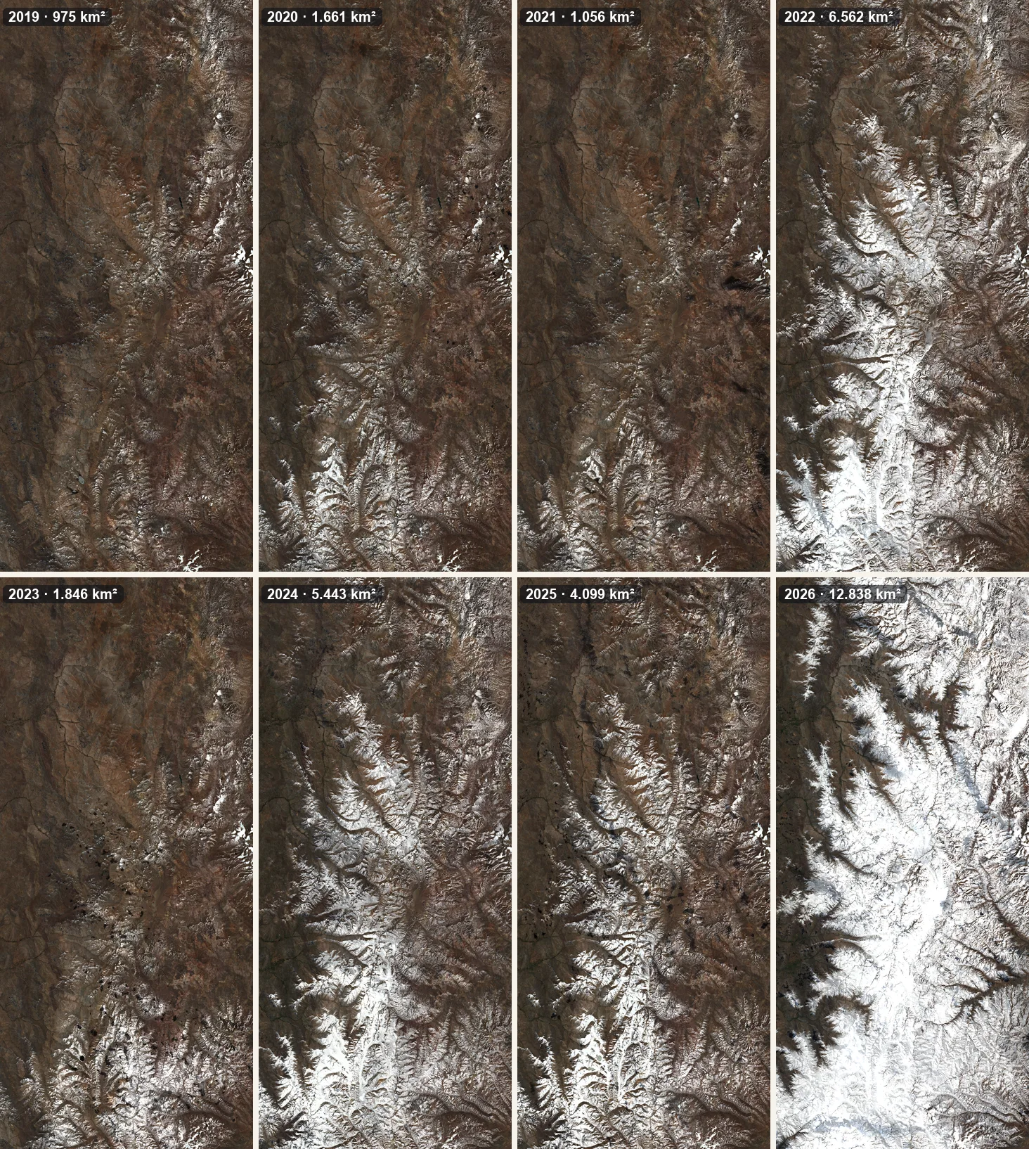 Ocho imágenes de la cordillera, una por año: hasta 2022 domina el color pardo; en 2026 el blanco cubre casi
       todo.