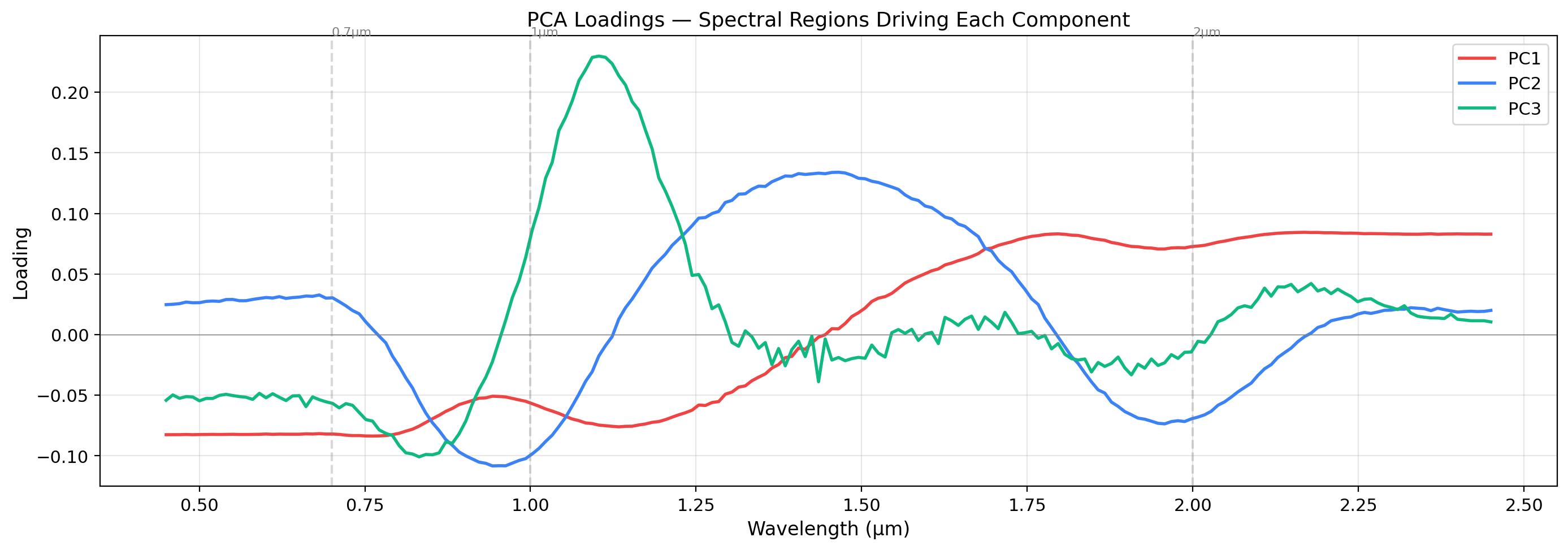 PCA Loadings